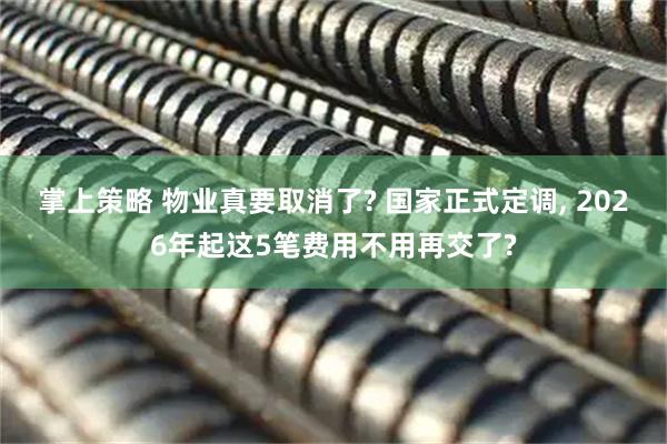 掌上策略 物业真要取消了? 国家正式定调, 2026年起这5笔费用不用再交了?
