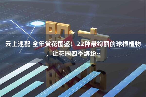 云上速配 全年赏花图鉴！22种最绚丽的球根植物，让花园四季缤纷~
